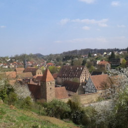 Sicht von den Weinbergen aufs Kloster