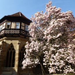 Brunnenkapelle und Großer Hörsaal