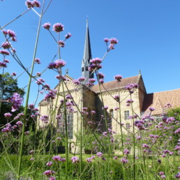 Klosterkirche Ostfront